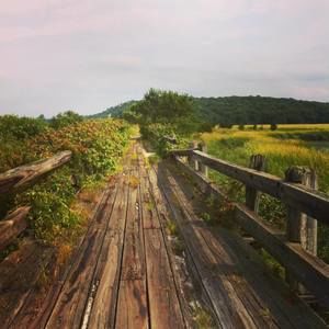 Meet your Posher, Tom